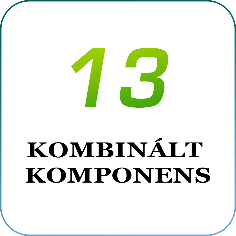 13kombinalt